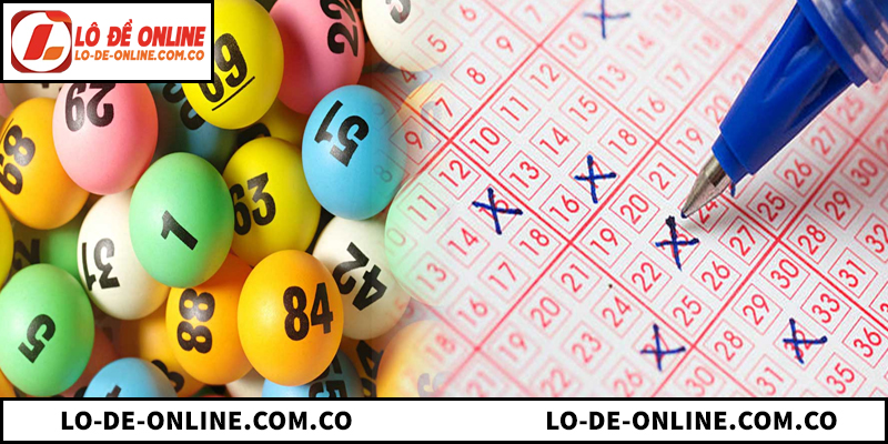 Cách Đánh Lô Hàng Ngày Dễ Trúng Theo Thứ Hiệu Quả