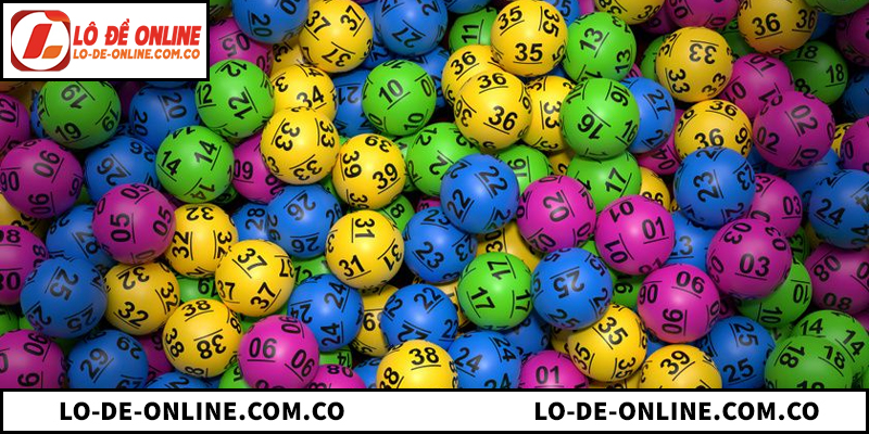 Nuôi Khung Lô 7 Ngày Với Hướng Dẫn Chiến Lược Hiệu Quả