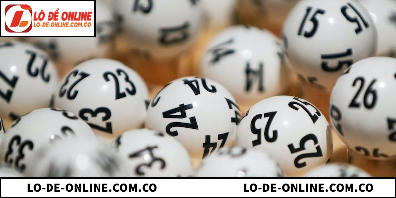 Tổng quan phương pháp nuôi khung lô 7 ngày